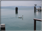foto Lago di Garda